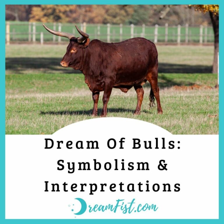 What Does It Mean To Dream About Bulls