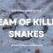 What Does It Mean When You Dream Of Killing Snakes