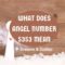 What Does 5353 Mean