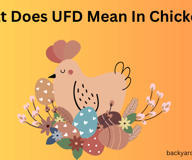 What Does Ufd Mean In Chickens