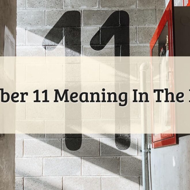 What Is The Meaning Of Number 11 In The Bible