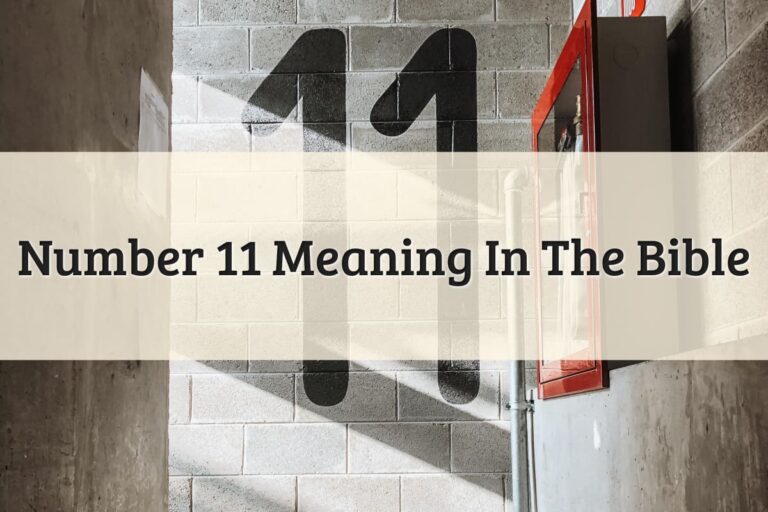 What Is The Meaning Of Number 11 In The Bible