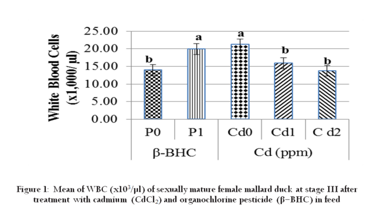 What Does Cm Mean Sexually