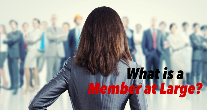 What Does At Large Member Mean