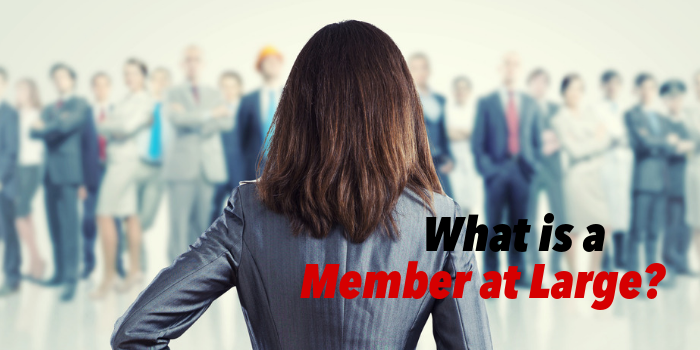 What Does At Large Member Mean
