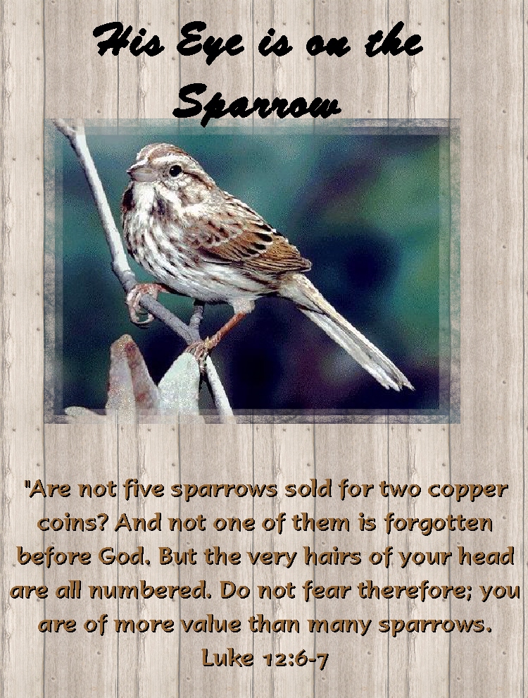 What Does His Eye Is On The Sparrow Mean