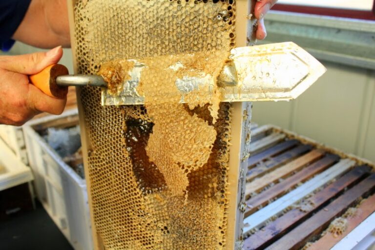 What Does Raw Unfiltered Honey Mean