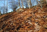 What Does It Mean To Be Grounded Spiritually