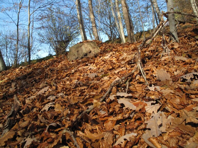 What Does It Mean To Be Grounded Spiritually