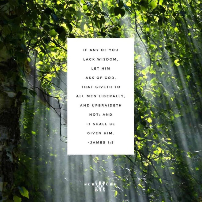 What Does James 1 5 Mean