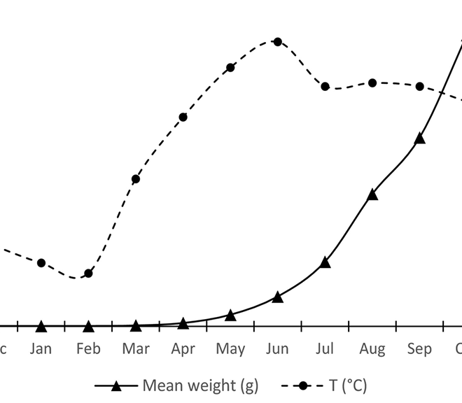 What Does Sp Mean Sexually