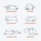 What Dogs Sleeping Positions Mean