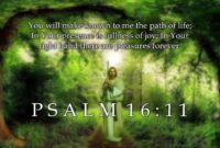 What Does Psalm 16 11 Mean