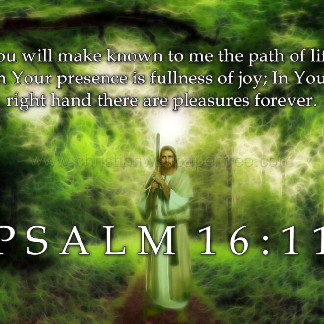 What Does Psalm 16 11 Mean