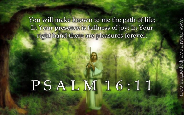 What Does Psalm 16 11 Mean