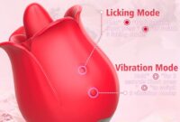 What Does Rose Toy Mean