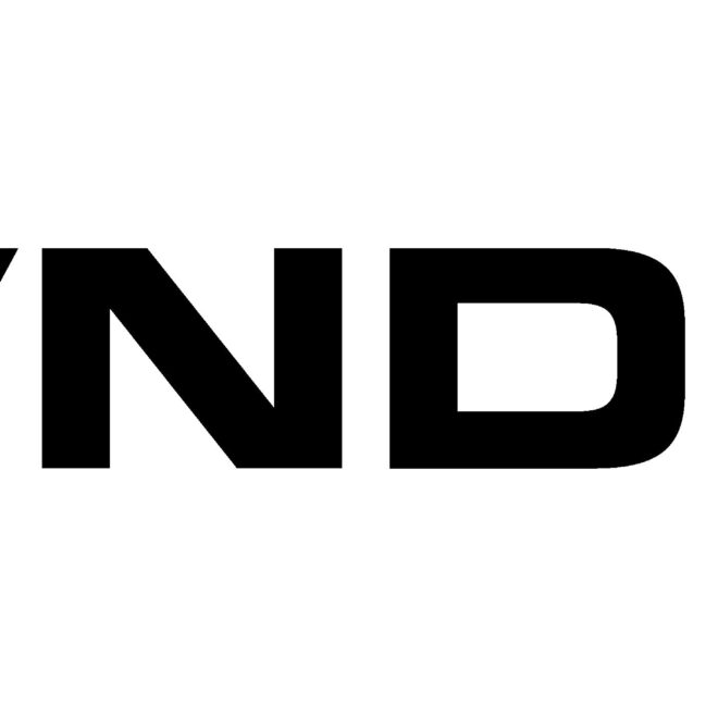 What Does Vnds Mean In Sneakers