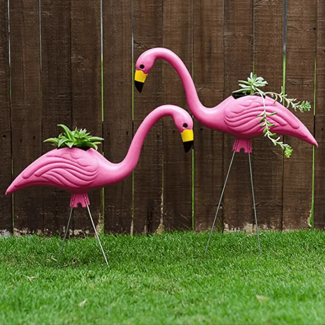 What Does A Pink Flamingo Mean In Your Yard