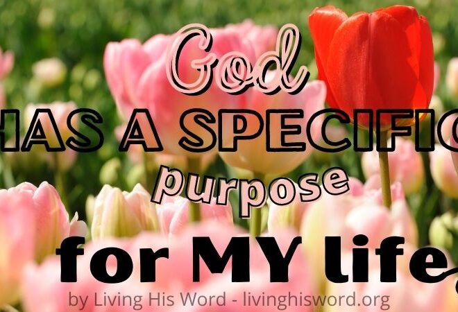 What Does It Mean To Be Set Apart By God