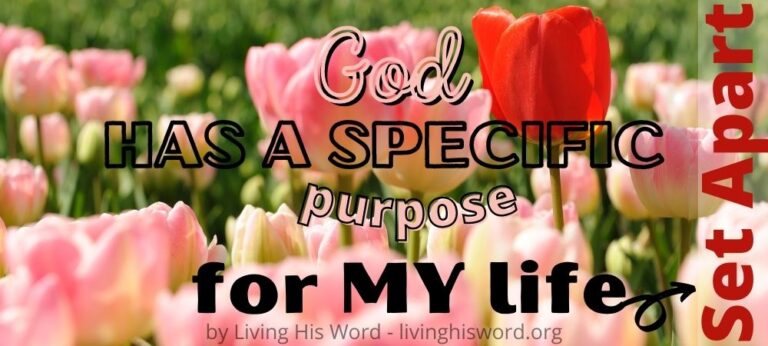 What Does It Mean To Be Set Apart By God