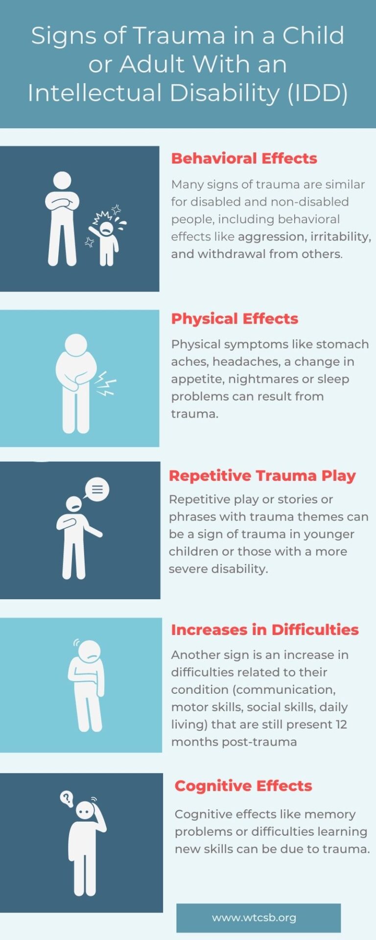 What Does Injury Child/Elderly/Disabled W/Int Sbi/Mental Mean