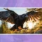 What Does It Mean When Crows Follow You