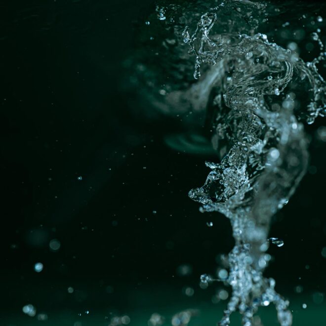 What Does Venza Mean