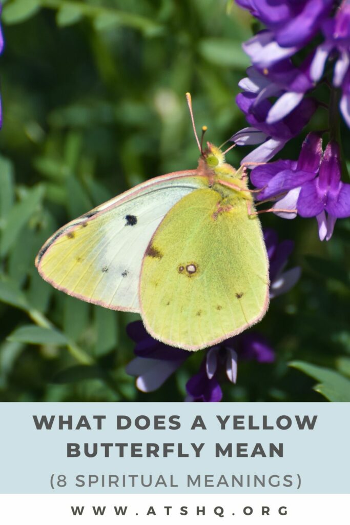 What Does It Mean When U See A Yellow Butterfly