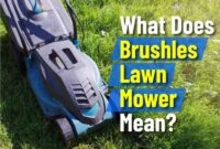 What Does Brushless Lawn Mower Mean