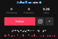 What Does Net Followers Mean On Tiktok