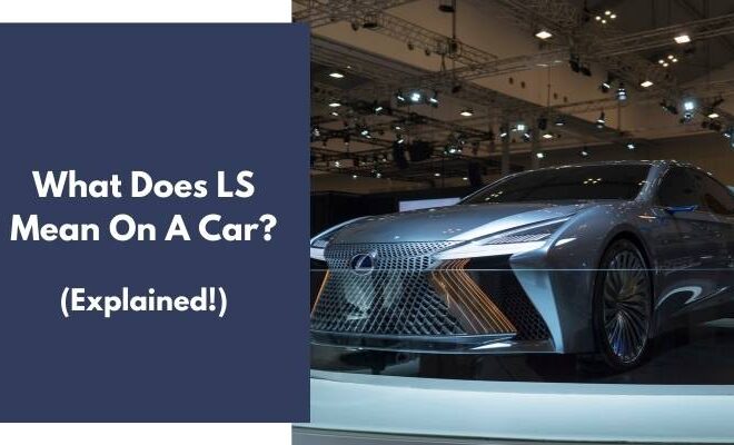 What Does Ls Mean In Dating
