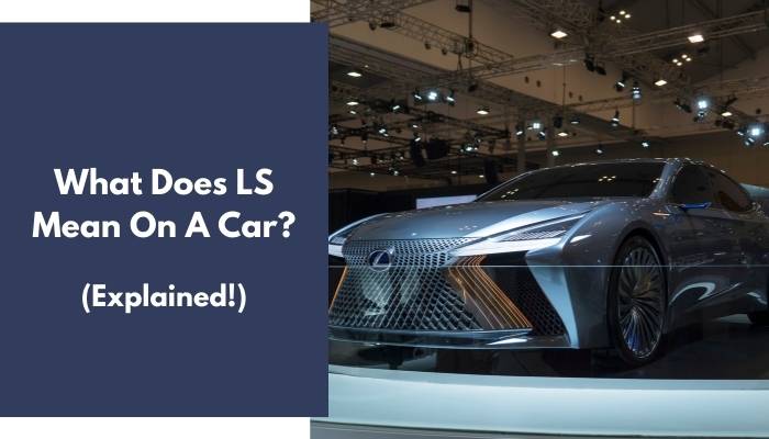 What Does Ls Mean In Dating