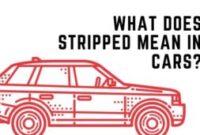 What Does It Mean When A Song Is Stripped
