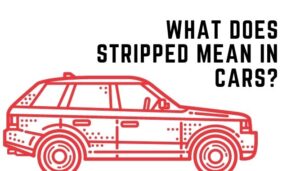 What Does It Mean When A Song Is Stripped