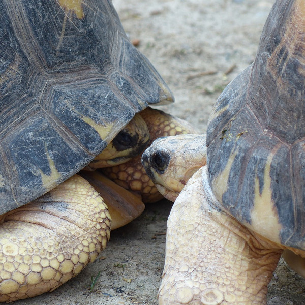 What Does Taking It Slow In A Relationship Mean
