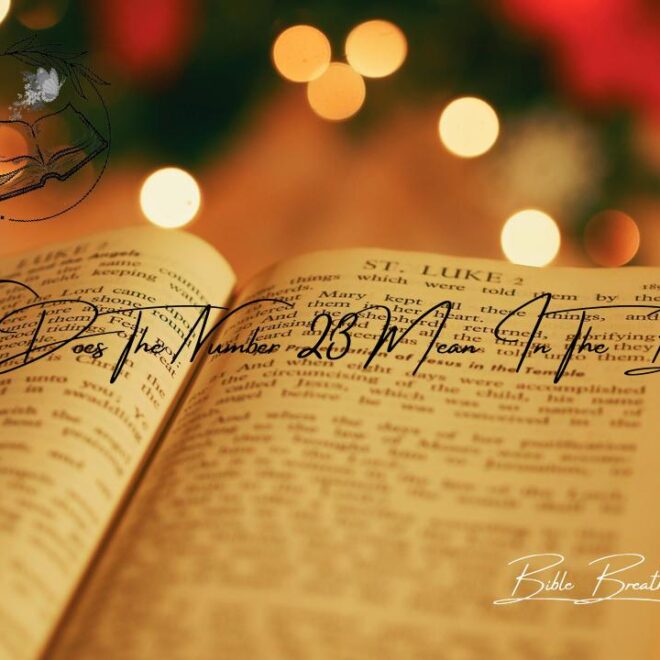 What Does Number 23 Mean In The Bible