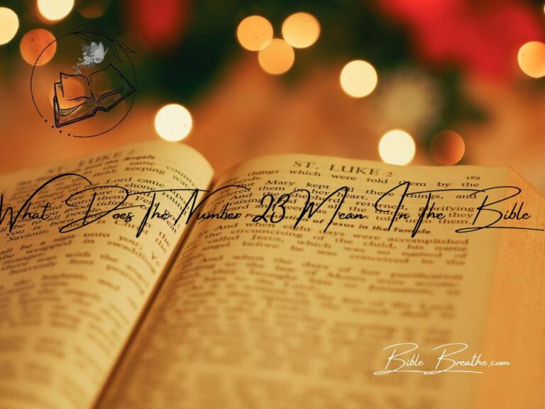 What Does Number 23 Mean In The Bible