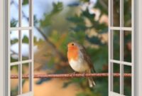 What Does It Mean When A Robin Hits Your Window