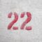 What Does The Number 22 Mean Biblically