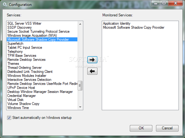 What Does Service Monitor System Mean