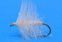 What Does A White Wooly Worm Mean