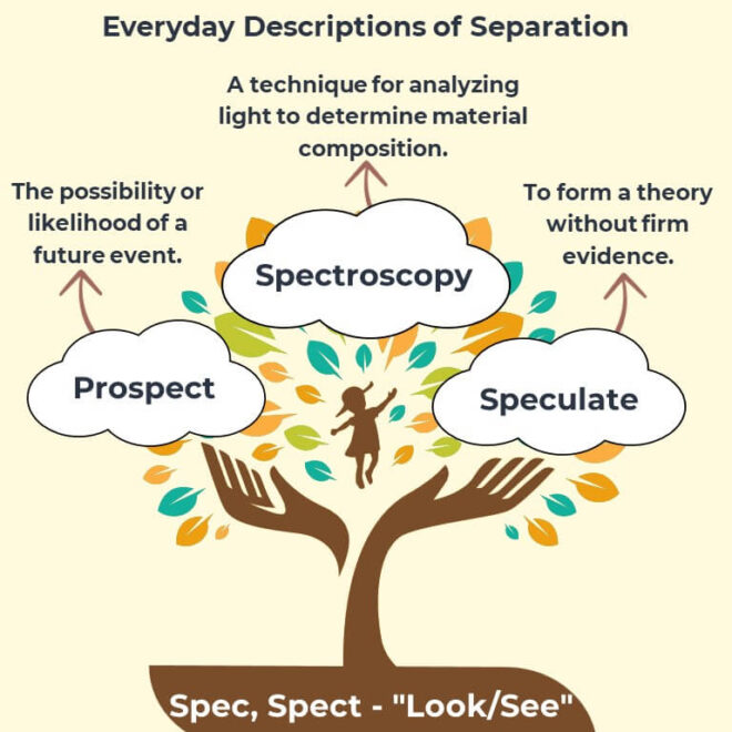 What Does The Root Word Spect Mean