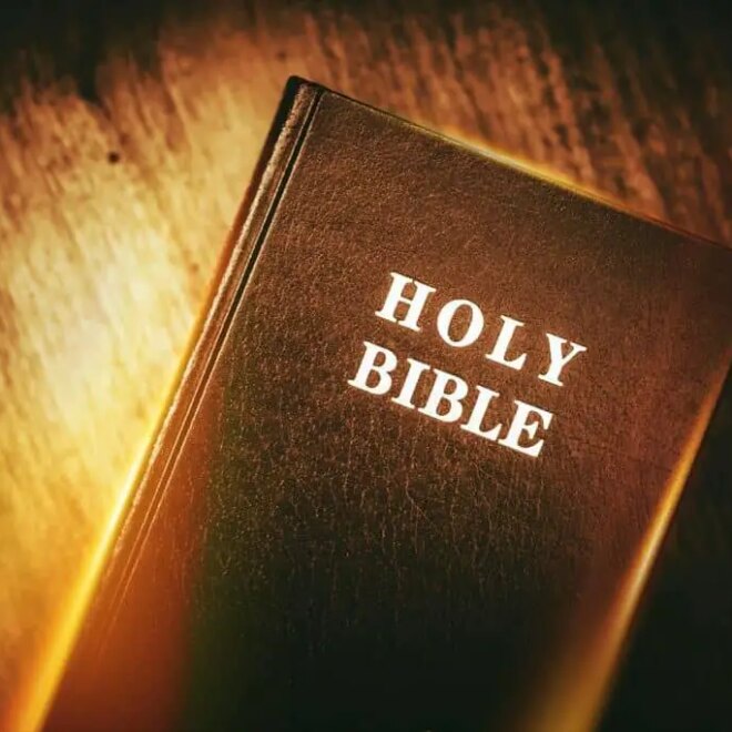 What Does Brown Mean In The Bible