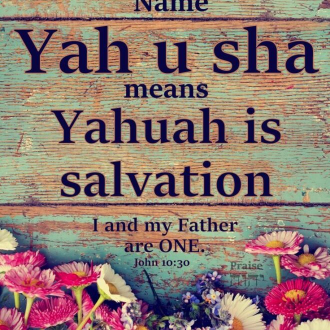 What Does Jose Mean In Hebrew