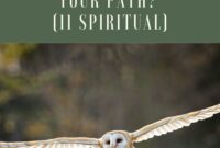 What Does It Mean When An Eagle Crosses Your Path