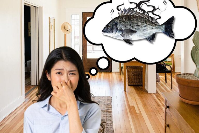What Does It Mean When Your House Smells Like Fish