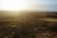 What Is Unimproved Land Mean