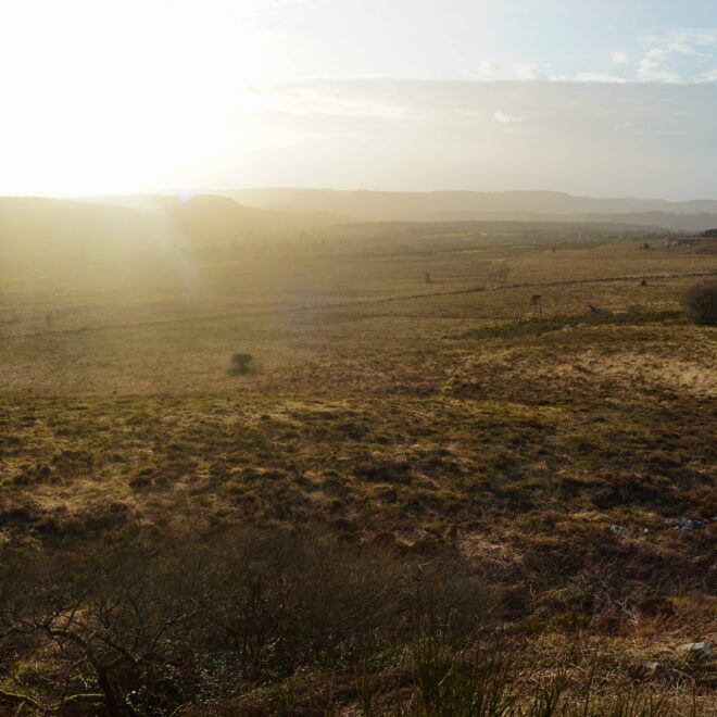 What Is Unimproved Land Mean