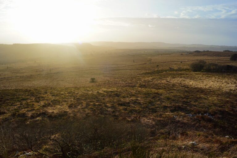 What Is Unimproved Land Mean