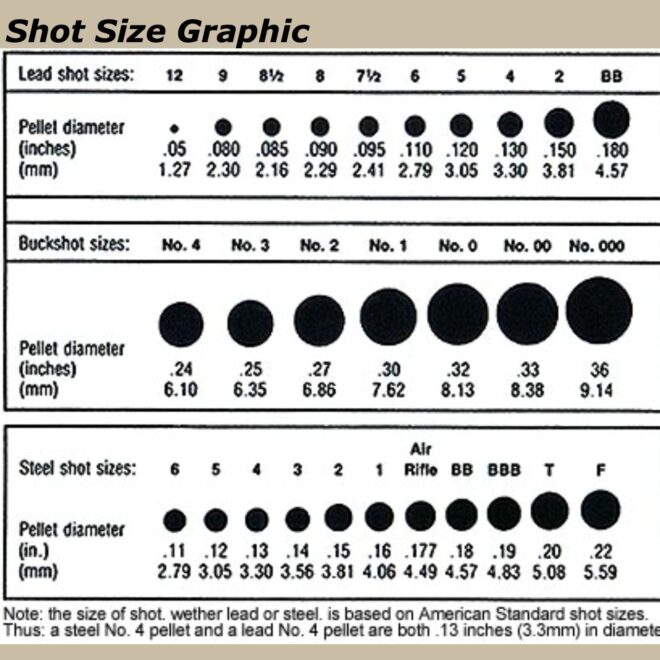 What Does Shot Size Mean For Shotgun Shells